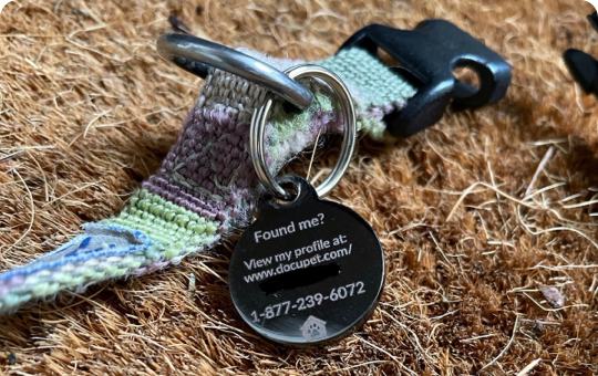 Personalized tags and collar